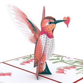 Lovepop Valentine's Hummingbird Pop Up Card, 5” x 7” - 3D Valentine Greeting Cards, Pop Up Valentine's Cards, Romantic Card, Love Cards for Her, Anniversary Card