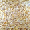 BKshells Peel and Stick Backsplash Shell Tiles Mother of Pearl