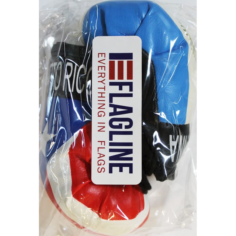 Puerto Rico and Argentina - Mini Boxing Gloves