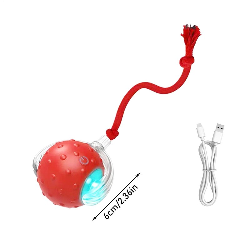 Indoor Cat Interactive Ball | Chirping Lighted Self-Moving Cat Ball