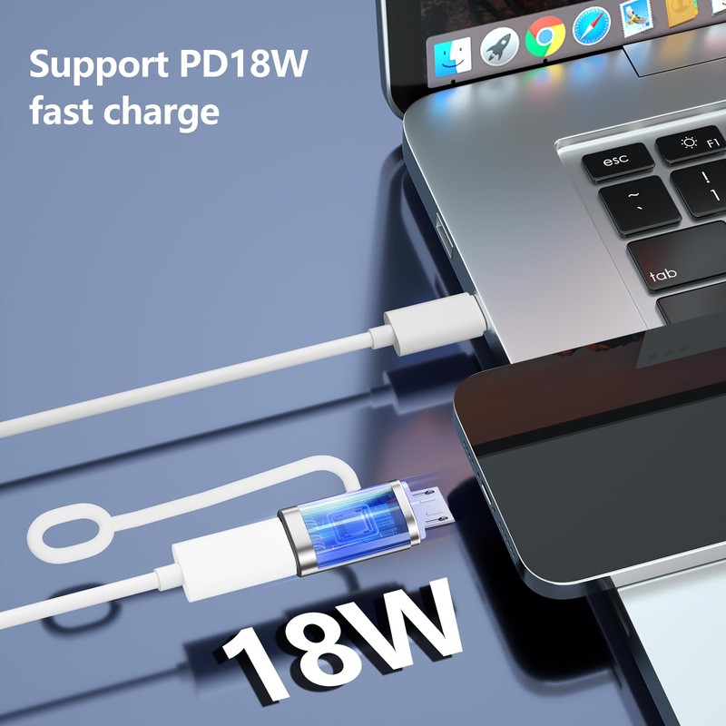 Liaoan USB C to Micro USB Adapter, 2 Pieces, Supports