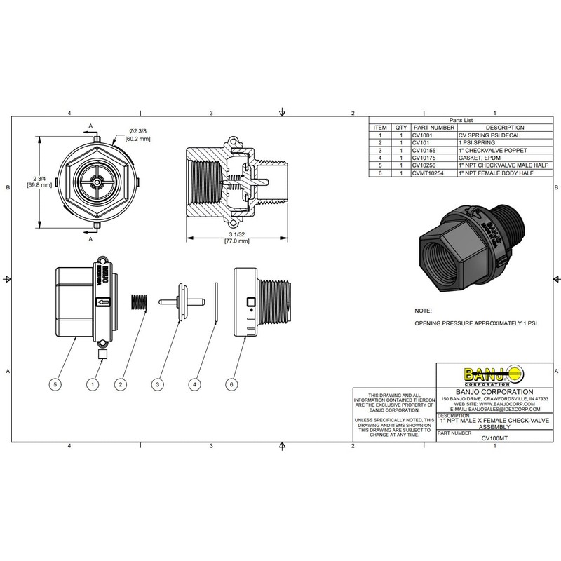 Banjo Corp CV100MT, 1" Male X 1" Female NPT Check