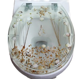 Transparent Resin Toilet Seat, 16.92 * 4.17in U/18.50 * 14.56in V Type Shell Toilet Cover Decoration, Toilet Lid w/Hinges