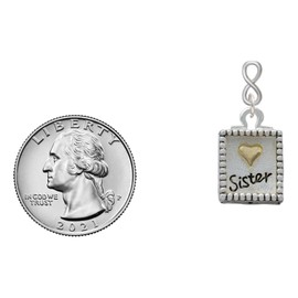 Delight Jewelry Shadow Charm ''Sister'' with Goldtone Heart Goldtone Infinity Post Earrings