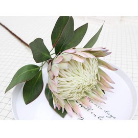 Calcifer 1 Pcs 75 cm The King Protea (Protea Cynaroides) Artificial Flowers Plants for Home Garden Wedding Party Decoration (Beige, 1)
