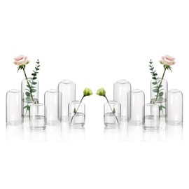 Small Flower Vase Set of 12, Glass Bud Vases in Bulk, Clear Vases for Flower, Decor Centerpiece for Bathroom, Decorative Vases for House Warming, Valentines' Day, Mother's Day, Thanksgiving Day