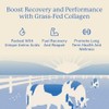 Equip Foods Grass Fed Collagen Powder -100 Hydrolyzed Bovine Collagen