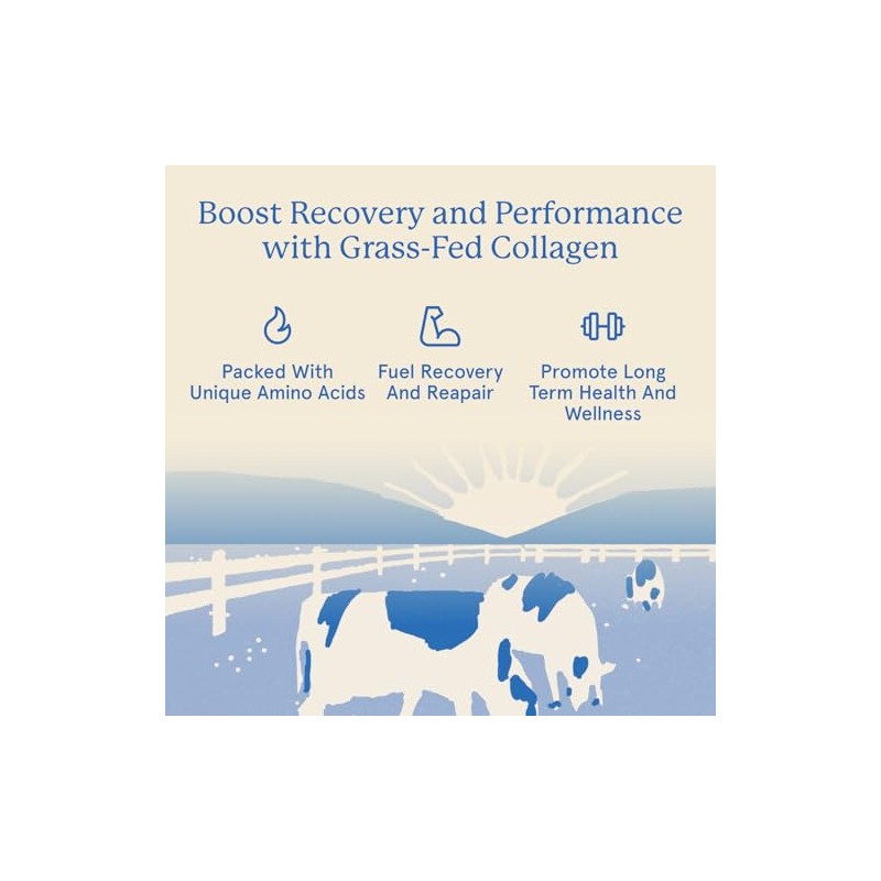 Equip Foods Grass Fed Collagen Powder -100 Hydrolyzed Bovine Collagen