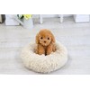 Adult-oriented Voice Recognition Plush Toy 【Talking Toy Poodle】 Easy to