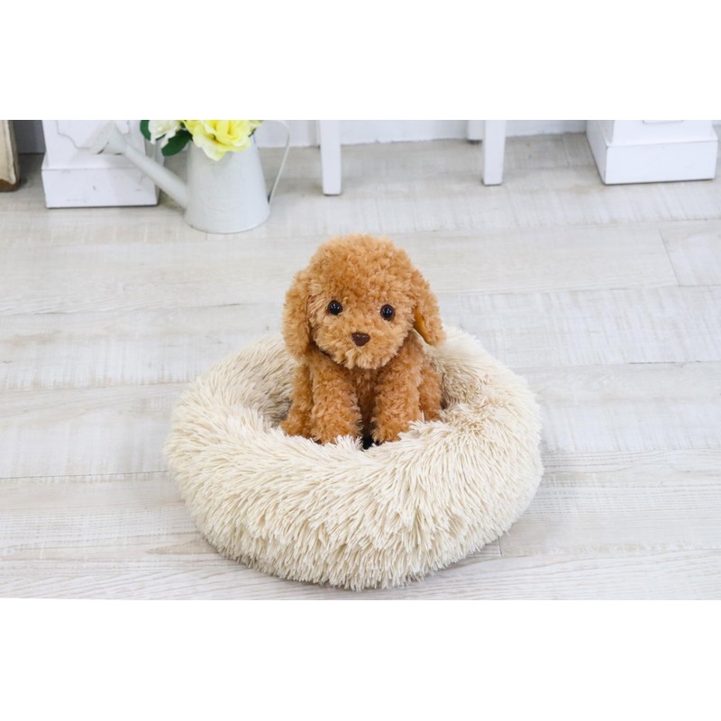 Adult-oriented Voice Recognition Plush Toy 【Talking Toy Poodle】 Easy to