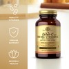 Solgar Ester-C Plus 500 mg Vitamin C (Ascorbate Complex) -