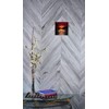Tile Picture Sunset Dock 8x8"" by Benaya
