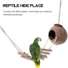 Coconut Hide for Reptiles with Ladder, Crested Gecko Tank Hide