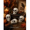 4 Pcs 5in Plastic Skulls Halloween Skeleton Cobweb 20 Spiders
