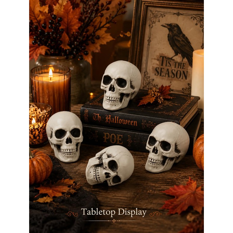 4 Pcs 5in Plastic Skulls Halloween Skeleton Cobweb 20 Spiders