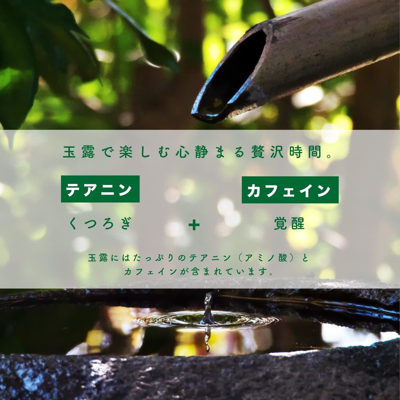 Organic Gyokuro Powdered Tea, 2.4 oz (70 g), Sakamoto-en Seicha