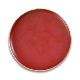 Sweet Face Minerals LIPSTICK (FOXY) Lipkit Mineral Makeup Lip Gloss Liner