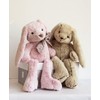 Histoire d 'Ours Plush Friends Cuddly Toy Rabbit Rabbit 40