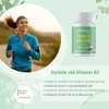 Vitabay Vitamin B2 (Riboflavin) | 400 Vegan Tablets (Set of
