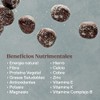 Dat Snack - Bolas de Energía de Dátil con Cacao,