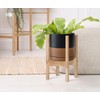 D'vine Dev Ceramic Planter with Natural Stand - 8 Inch