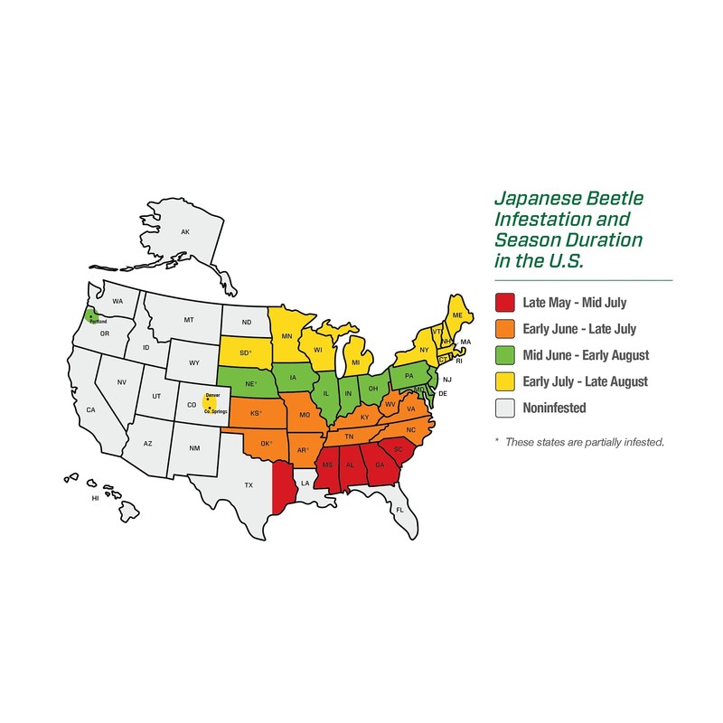 RESCUE! Japanese Beetle Trap – Reusable Bag - 2 Traps