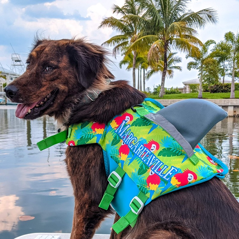 Margaritaville Shark Pet Vest, X-Large