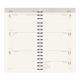 2025 Senator (13 month) Pocket Diary Insert/Refill - Week to View - (INN) Cream paper