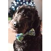 Huxley & Kent Pet Bow Tie | Lime Madras (Extra-Large)