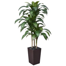 VeriNatural 5FT Artificial Dracaena Tree - UV Resistant Faux Tropical Plant, Potted Fake Tree with Taper Planter & Pebbles - Indoor Outdoor Greenery for Home, Porch, Living Room, Bedroom Decor, VN127