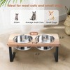 Siooko Elevated Cat Bowls, 15° Tilted Raised Cat Food Bowls