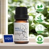 HIQILI Basil Essential Oil 10ML