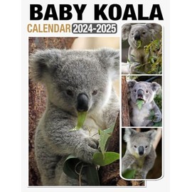 Baby Koala Calendar 2024 - 2025: Bring Joy and Stay Organized with Our 24-Month 2024-2025 Planner US Holidays - Perfect for Gifting or White Elephant Parties, Christmas Gift