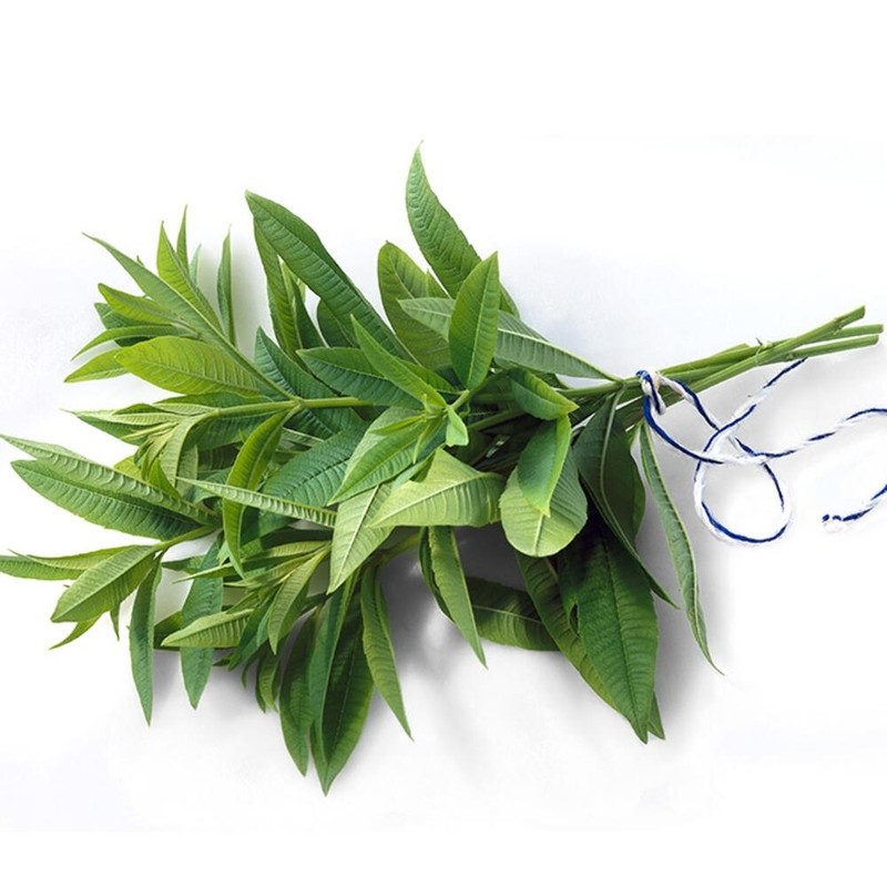 Lemon Verbena Extract Complex Tablets 2 x Cham Goods /