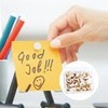 Parthan 100 Pcs White Drawing Pins, Push Tack, White Drawing