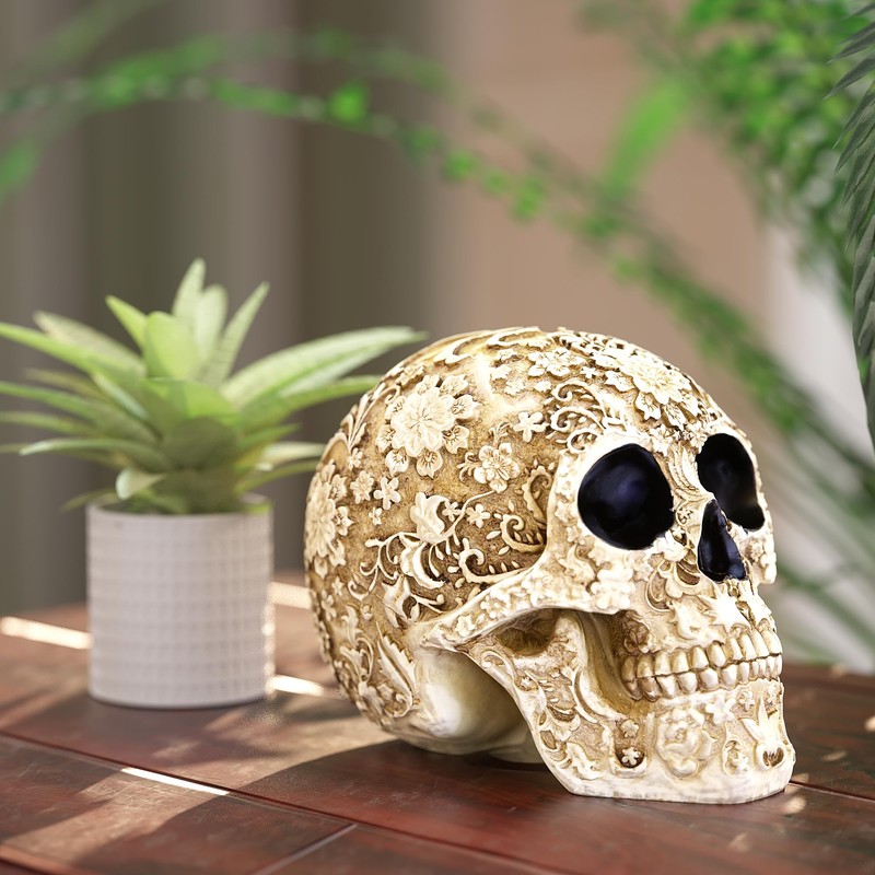 READAEER Life-Size Skeleton Replica Realistic Human Skull Head Bone Model
