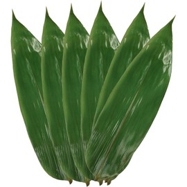 Rainlily Wen Bamboo Leaves 200 Pcs Fresh Zongzi Leaf Banana Leaf Substitutes Sushi Plate Vacuum Wrap Foods Decorate