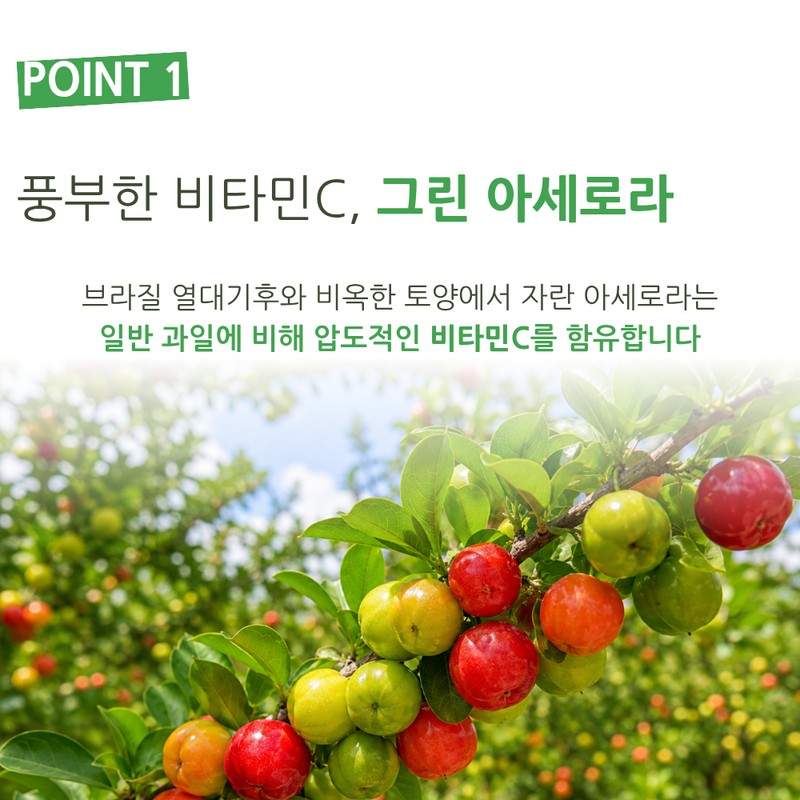 Green Acerola Acerola C Green Acerola Vitamin C Powder, 14