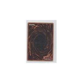 Yu-Gi-Oh! - Labyrinth Wall (YuGiOh TCG Card) 2002 Yu-Gi-Oh! Magic Ruler - Booster [Base] - Unlimited #MRL-055