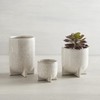 47th & Main Ceramic Footed Planter Pot, 6" Tall, White