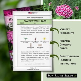 Sow Right Seeds - Sweet William Mix Flower Seeds for Planting - Beautiful and Edible Biennal Variety - Non-GMO Heirloom Packet to Plant Home Flower Garden - Fragrant Blooms to Attract Pollinators
