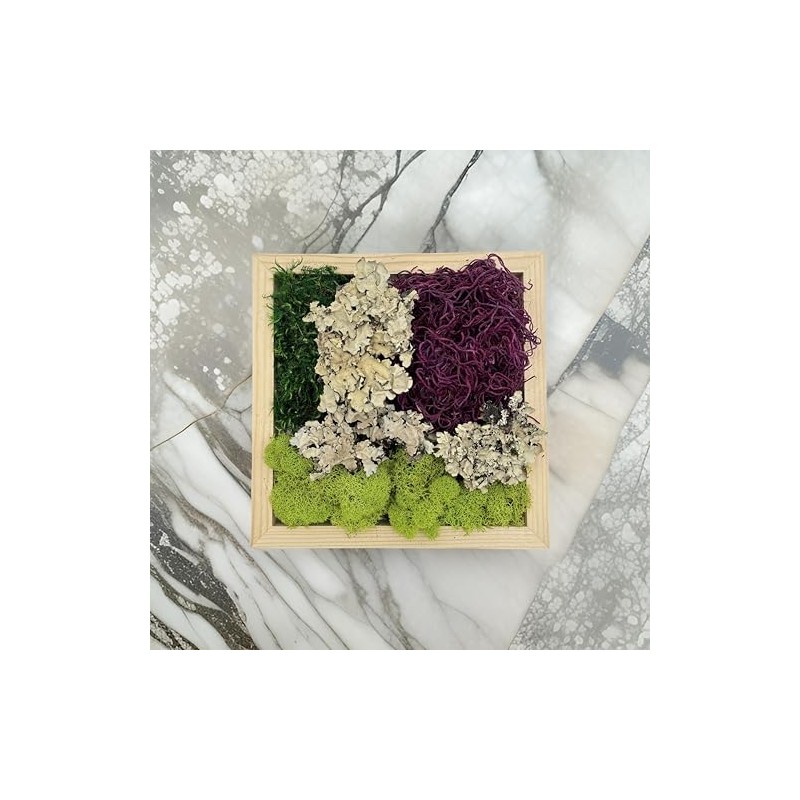 Quality Growers - The Moss Collection Variety Pack - Natural