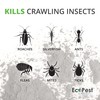 Crawling Insect Killer Dust, 1 lb. | Natural Repellent and