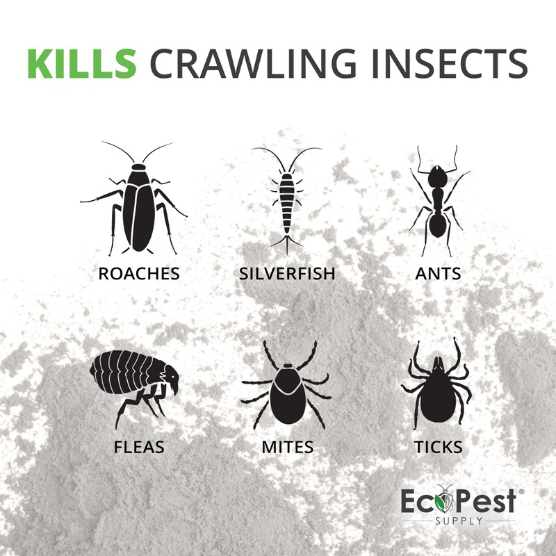 Crawling Insect Killer Dust, 1 lb. | Natural Repellent and