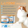 ALIVO L-Lysine for Cats, Lysine Powder for Cats Support Immune