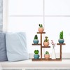 COOGOU Wooden Tabletop Plant Stand - 5 Tier Succulent Plant