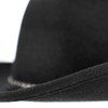 Western / Cowboy Hat 30645