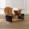 THE LICKER STORE DBL2001B Keaton 7.5" Medium/Large Modern Lucite Rectangular