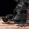 Velaze Cast Iron Teapot Set,Japanese Teapot Heat Preservation with Trivet,Stainless