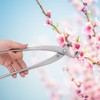 29cm Stainless Steel Bonsai Tool Knob Cutter Branch Cutter Garden
